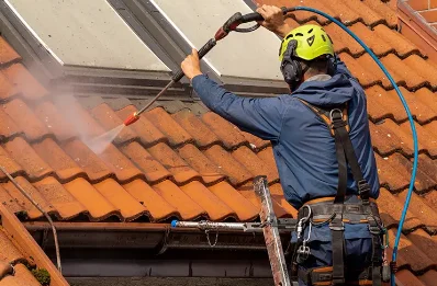 Démoussage et hydrofuge de toiture à Regrippière
